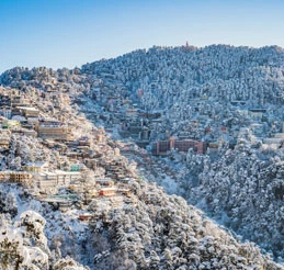 Shimla