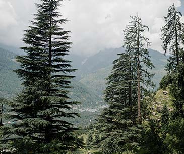 Delhi Manali Tour Package