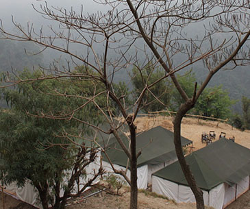 Camping in Pangot Nainital