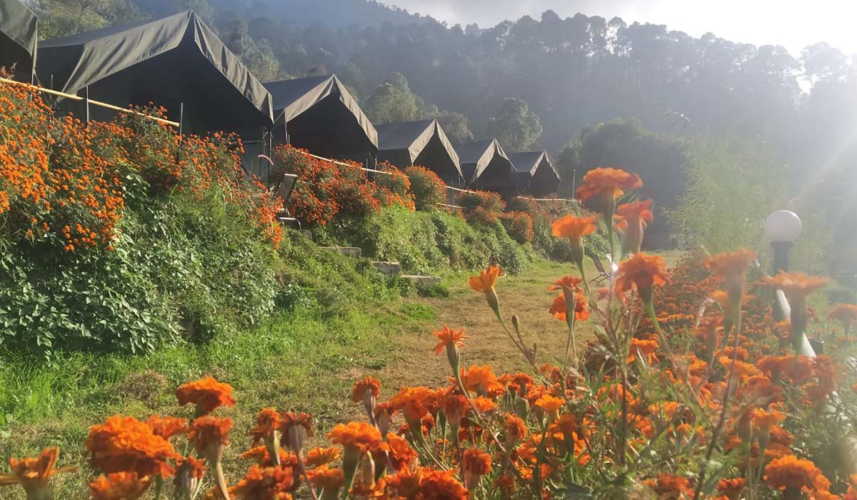 camping-in-bhimtal