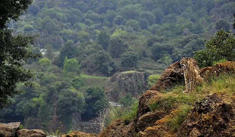 bara-bhangal-trek