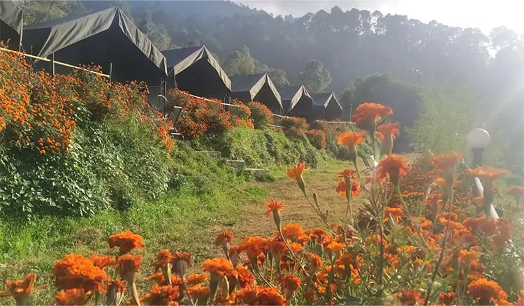 camping-in-bhimtal