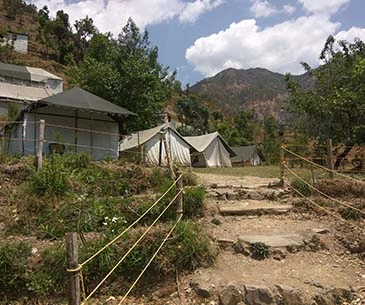 Pangot Camping Packages for Adventure Lovers 2025 | Indian-Tours