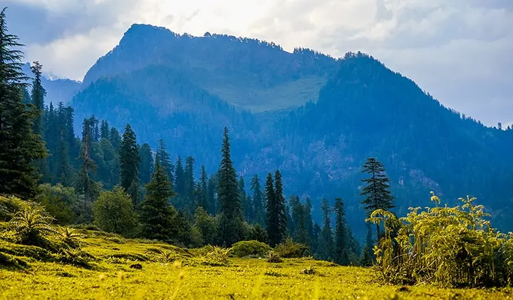 churdhar-peak-trek