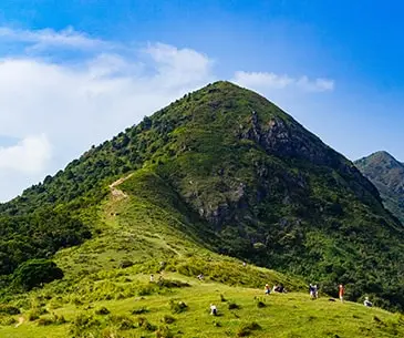 Churdhar Peak Trek 2025 | Indian-Tours