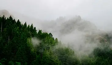 churdhar-peak