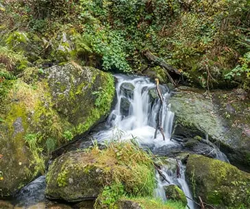 Devkund Waterfall Trek - The Best Way To Experience Nature