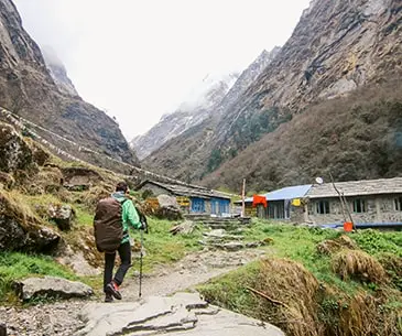 Gaumukh Tapovan Trek: It’s the ultimate experience in Uttarakhand