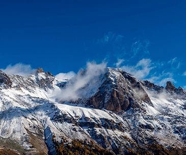 Himachal Ecstasy