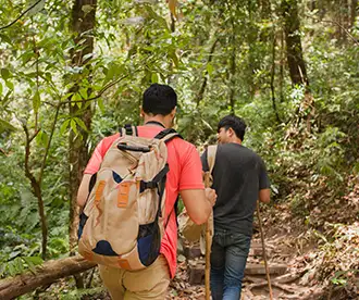 Discovering the Majestic Beauty of Jalsu Pass Trek in Himachal Pradesh |Indian Tours