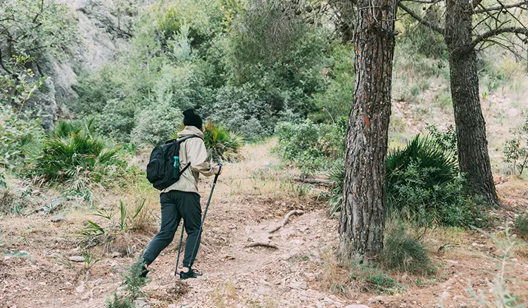 nag-tibba-trek