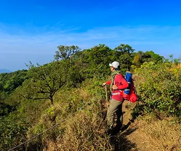 Phulara Ridge Trek 2025 | Indian-Tours