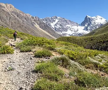 Pindari Glacier Trek Uttarakhand 2025 | Indian-Tours