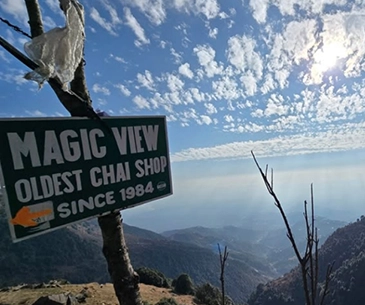 magic-view