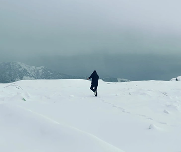 snow-triund